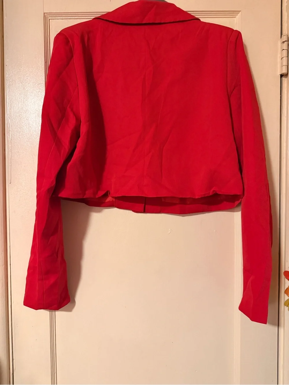 Fashion Nova Red Pleated Blazer and Skirt Set